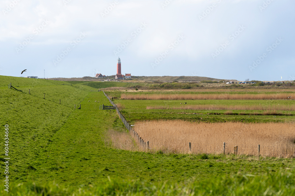 Fototapeta premium Réserve naturelle, Phare de Eierland, Mer des Wadden, île de la Frise, Ile Texel, Pays Bas