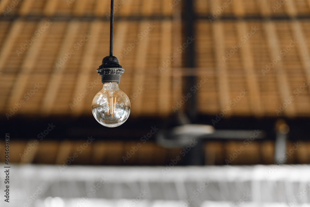 electric light bulb on a wire An electric light bulb isolated against the background of a house electric light bulb on a wire An electric light bulb isolated against the background of a house