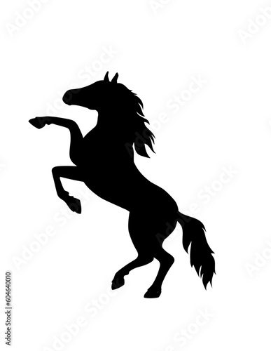 Fototapeta Naklejka Na Ścianę i Meble -  horse silhouette vector