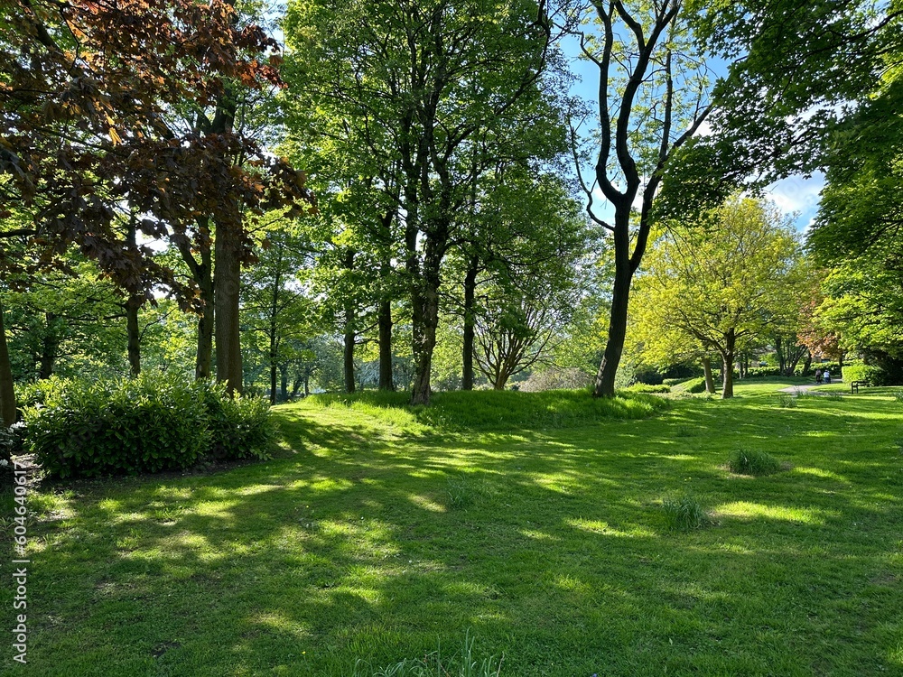 Landscape in, Harold Park, with old trees, grassland, and bushes, on a spring day in, Low Moor, Bradford, UK