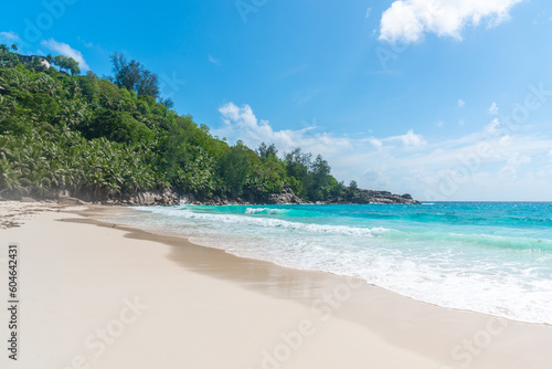Fototapeta Naklejka Na Ścianę i Meble -  Palms and turquoise water in Anse Intendance beach