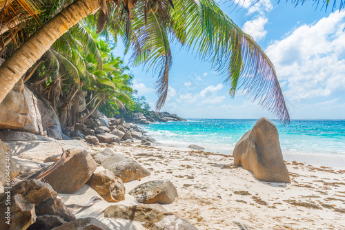 Palm trees and rocks by the sea in Anse Intendance beach