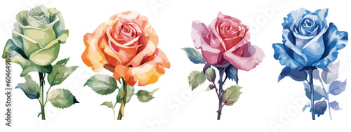 Set of 6 High Detail Watercolor Rose Illustrations (Vector ESP)