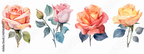 Set of 6 High Detail Watercolor Rose Illustrations (Vector ESP)