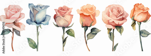 Fotografiet Set of 6 High Detail Watercolor Rose Illustrations (Vector ESP)