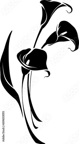 Fotografiet Bouquet of calla lily flowers isolated on a white background