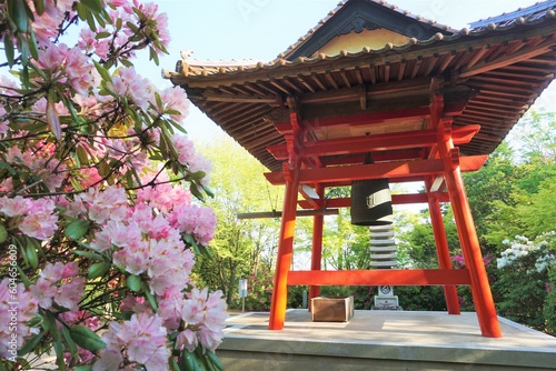 寺の鐘とシャクナゲの花