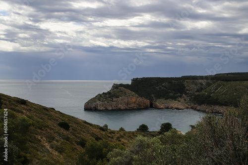 Acantilados con pinos en el mar en un día gris