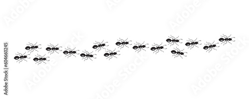 Ant line trail, small pest chain, insect marching, animal colony, black silhouettes bug top view isolated on white background. Vector illustration