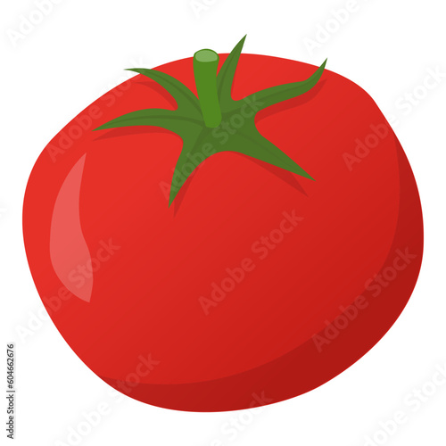 Delicious ripe juicy tomato isolated
