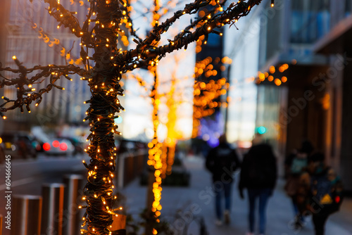 Christmas lights on tree in the street