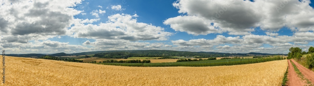 panorama view of fields with wheat and hop and landscape with forests