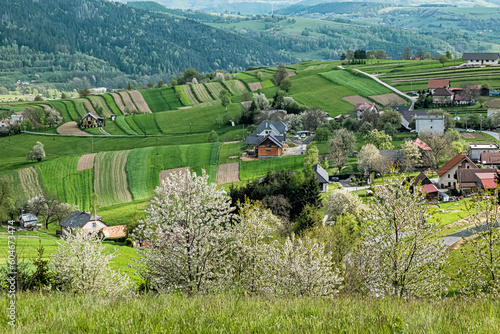 Historic agrarian landscape, Hrinovske lazy, Slovakia photo