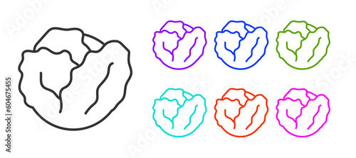 Black line Fresh cabbage vegetable icon isolated on white background. Set icons colorful. Vector