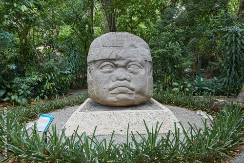 The outdoor museum of Parque Museo La Venta in Tabasco, Mexico, showcases ancient Olmec heads and other basalt carvings photo