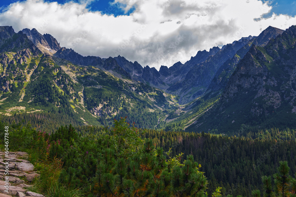 Beautiful summer landscape of High Tatras, Slovakia - famous track to Poprad Lake - stone footpath over the cliff, lush forest, mountains and clouds on the sky