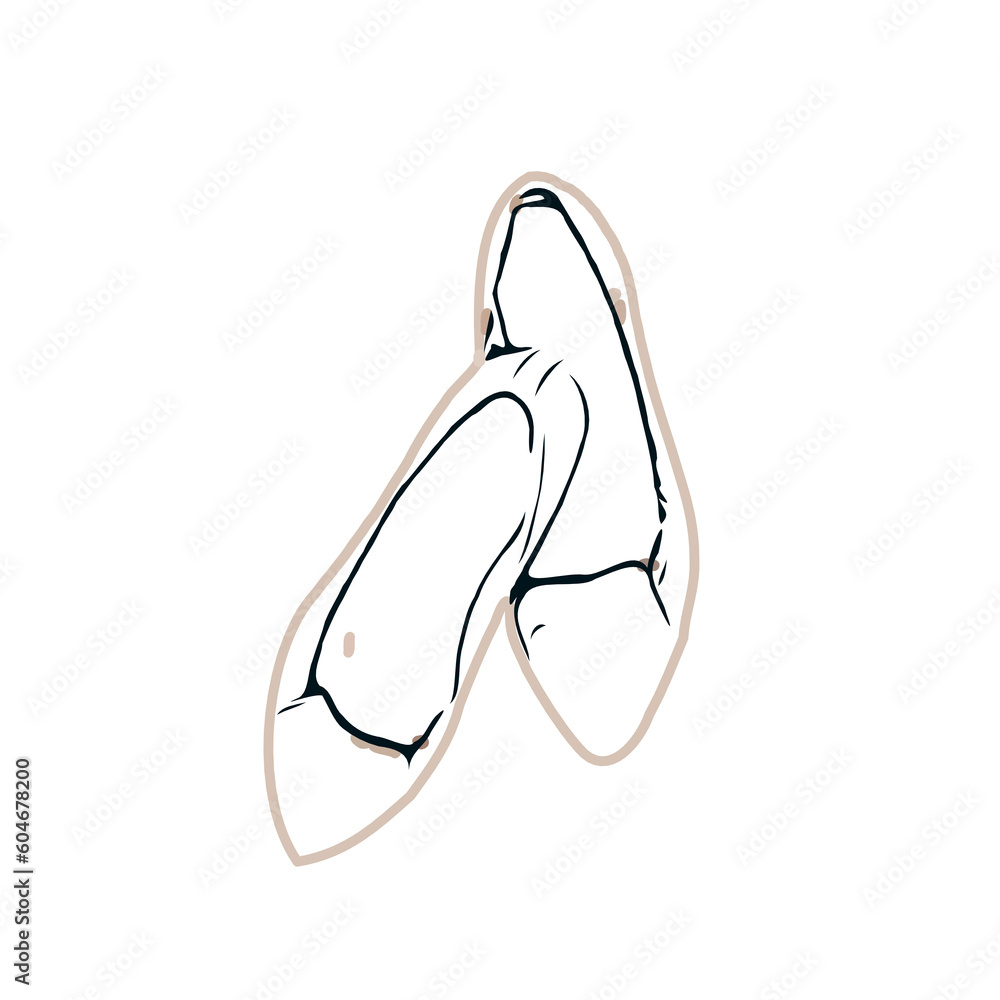 color sketch of women's shoes with transparent background color sketch of women's shoes with transparent background