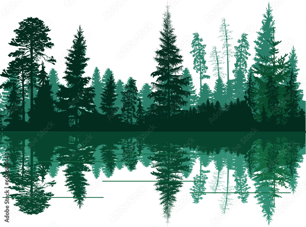 high geen firs in forest with reflection - obrazy, fototapety, plakaty 