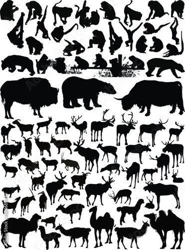 large group of mammals collection isolated on white