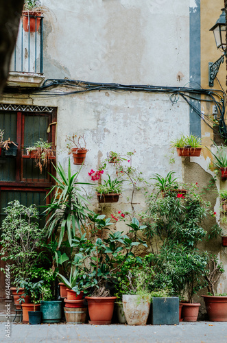Street wall decorated with flower pots © Cristina