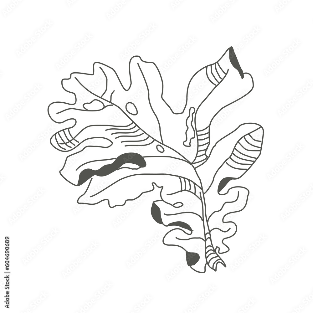 Linear sketch of a leaf. Flying autumn oak leaf. Delicate twisted leaf. Botanical drawing. Ecostyle of nature. Linear sketch of a leaf. Flying autumn oak leaf. Delicate twisted leaf. Botanical drawing. Ecostyle of nature.