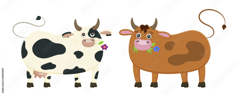 Set of cows chewing grass isolated on white background farm animals. Cartoon funny animals. Cute domestic kind animals in cartoon style cow and bull. Mammal cattle sticker. Flat Vector illustration