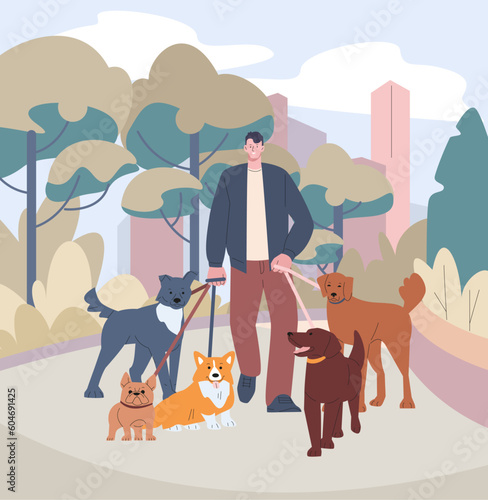 Dog sitter, volunteer walking with dogs on nature. Walker pets in city park, work or social service man. Pet care, outdoor time kicky vector modern concept