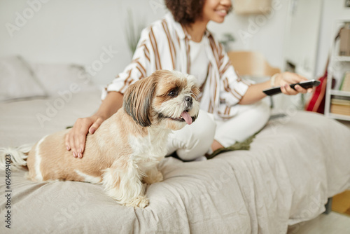 Side view portrait of cute little dog sitting on sofa with young woman and enjoying pets, copy space