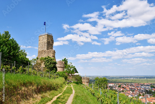  Spur castle ruin called Wachtenburg in Wachenheim city in  Rhineland-Palatinate photo