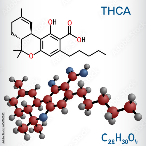 Tetrahydrocannabinolic acid, THCA, tetrahydrocannabinolate molecule. Precursor of tetrahydrocannabinol THC, active component cannabis. Structural chemical formula, molecule model