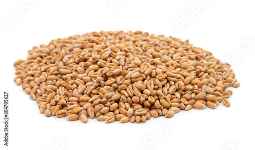 Heap of wheat grains.