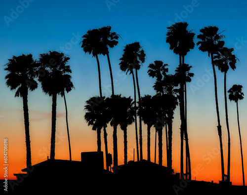 Obraz na płótnie silhouette of palm trees at sunset