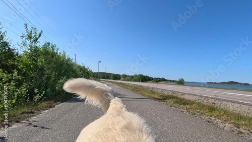 Running and exercising with your dog is a wonderful