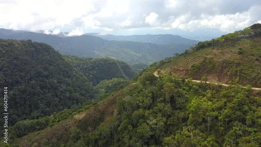 Coffee plantation in the Bolivian mountain jungle
Coffee plantation in the Bolivian mountain jungle