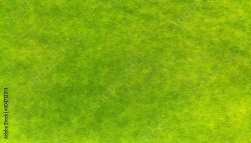 Green grass background, grass field background. Grass texture. Generative AI