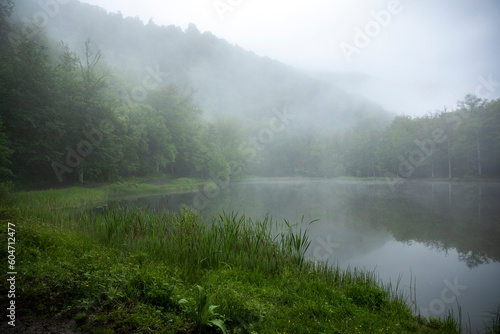 Foggy lake view with trees.Armenia © ARAMYAN