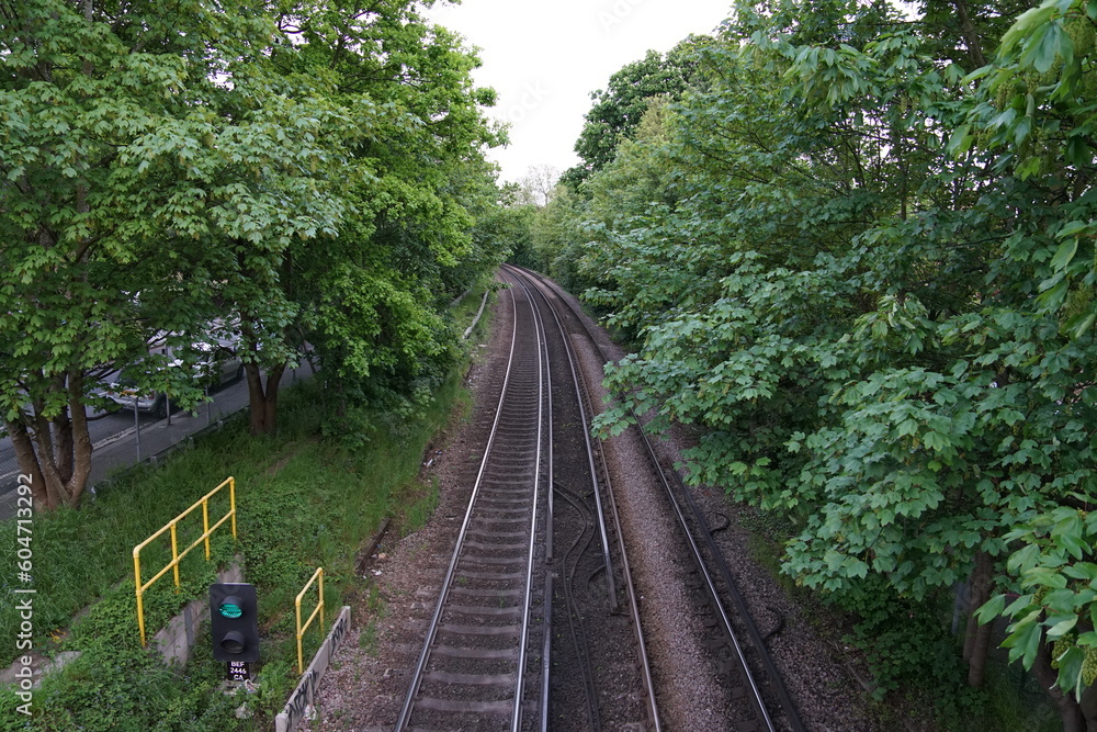 railway in the forest