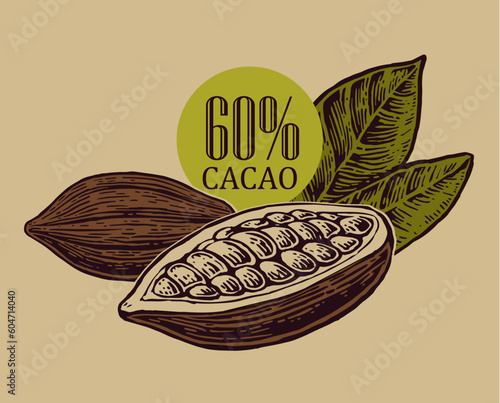Leaves and fruits of cocoa beans.