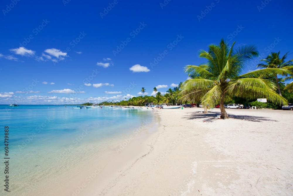 Tropical beach with palm trees, Bayahibe, Dominican Republic 