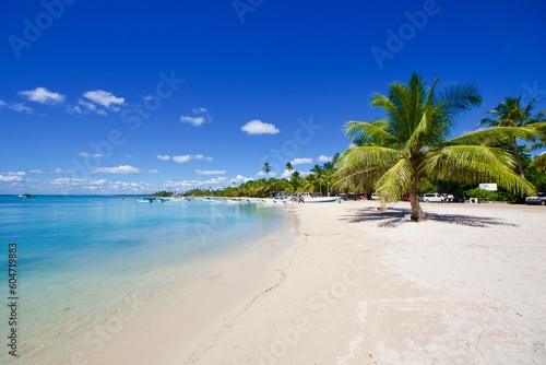 Fototapeta Naklejka Na Ścianę i Meble -  Tropical beach with palm trees, Bayahibe, Dominican Republic 