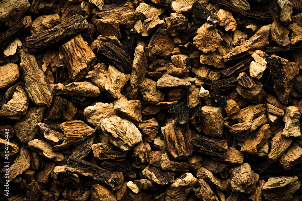 great yellow gentian dried root. bitter for apéritifs, liqueurs, and tonics. herbal medicine great yellow gentian dried root. bitter for apéritifs, liqueurs, and tonics. herbal medicine