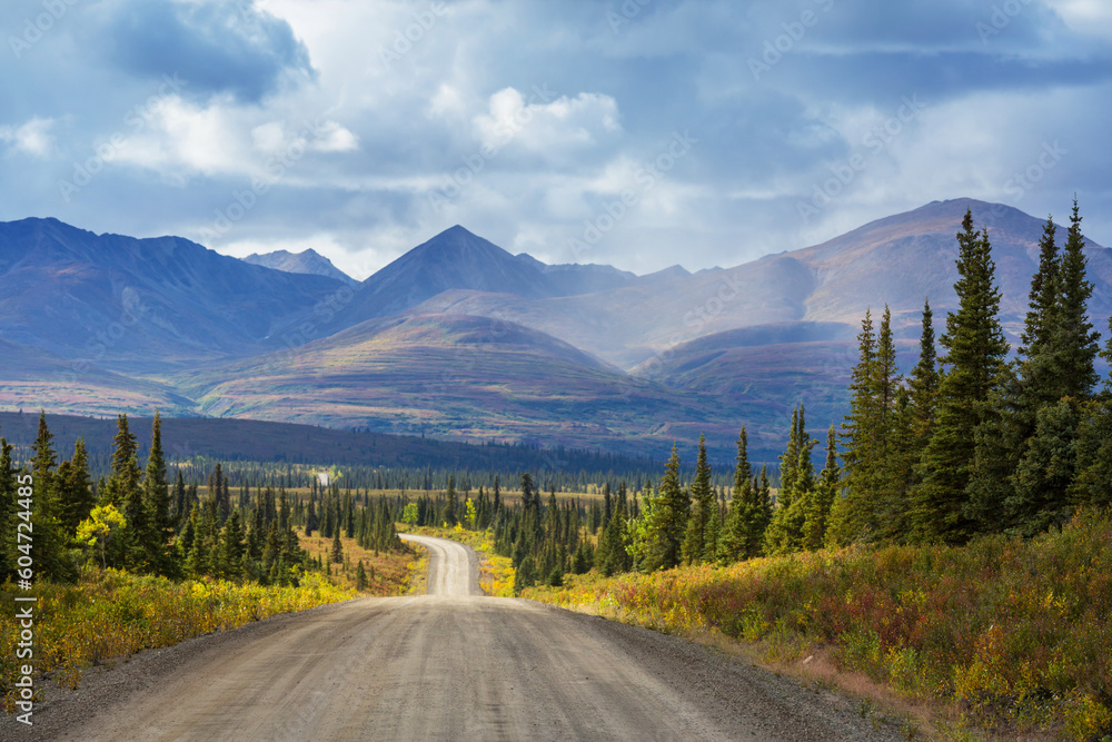 Road in Alaska - obrazy, fototapety, plakaty 