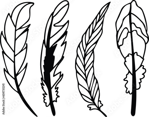 Feather Vector Clip Art  Black and White