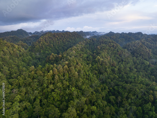 Remote, rugged islands in West Papua, Indonesia, are covered by thick, green rainforest. This pristine tropical region harbors extraordinary terrestrial and marine biodiversity.