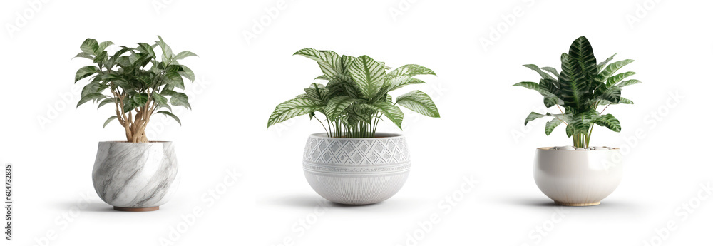 collection Set of different styles of retro vantage and modern vase and interior plants pots furniture cutouts isolated on transparent background - Generative AI - obrazy, fototapety, plakaty 