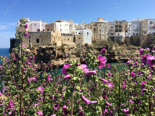 Landscape of Polignano a Mare in Puglia. Pink flowers in the foreground.