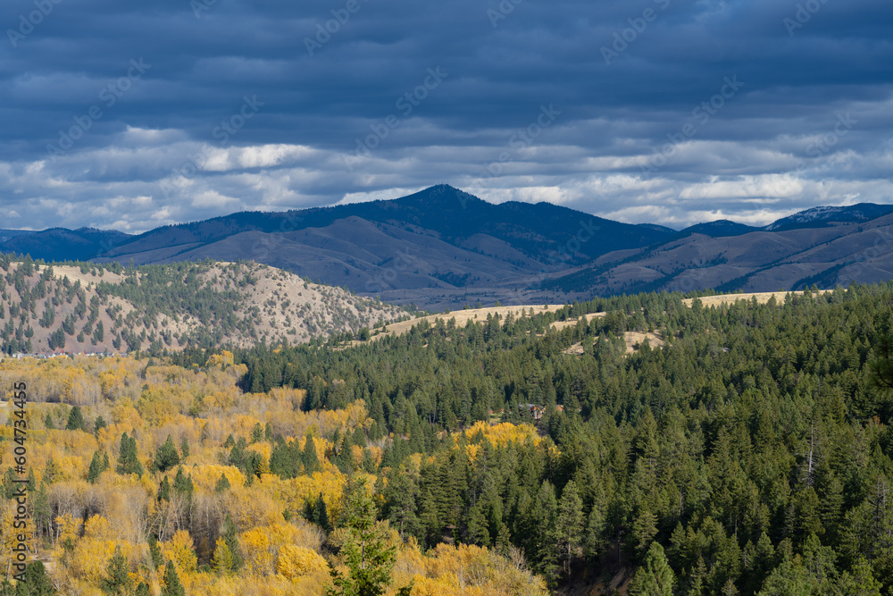 autumn landscape in the mountains of Montana