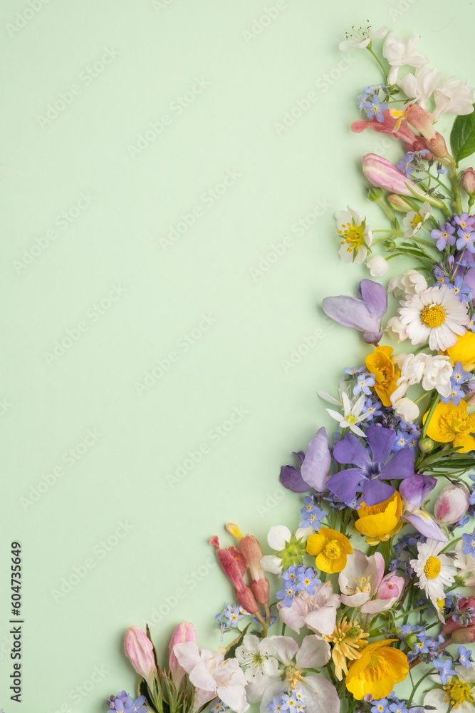 floral flat lay from different wildflowers on a light green background. Top view