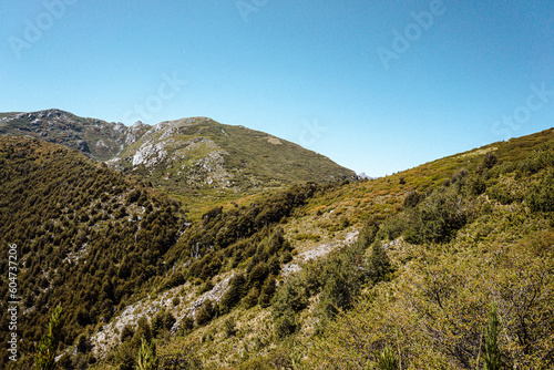 ALTO BIO BIO, SUR DE CHILE. REGIÓN DEL BIO BIO. photo