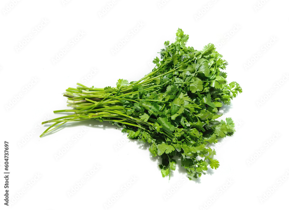 Coriander on a white background.